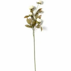 16 Pack: Cream Peony Stem by Ashland®