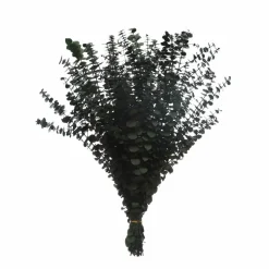 10 Pack: Dark Green Dried Eucalyptus Bundle by Ashland®