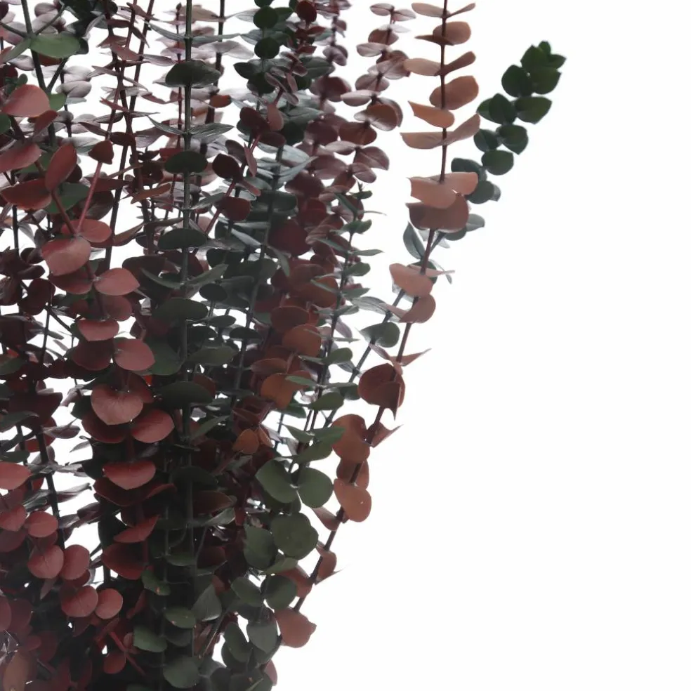 16 Pack: Dried Eucalyptus Bundle by Ashland®