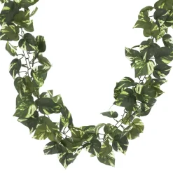 6 Pack: 6ft. Variegated Pothos Chain Garland by Ashland®
