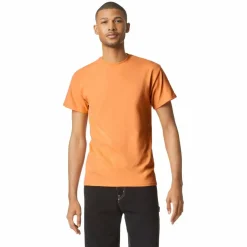 12 Pack: Gildan® Short Sleeve Adult T-Shirt