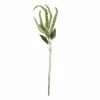 12 Pack: Green Amaranthus Stem by Ashland®