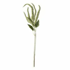 12 Pack: Green Amaranthus Stem by Ashland®