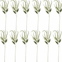 12 Pack: Green Amaranthus Stem by Ashland®