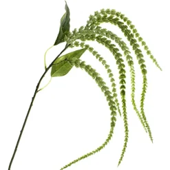 12 Pack: Green Amaranthus Stem by Ashland®