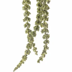 12 Pack: Green Amaranthus Stem by Ashland®
