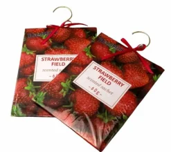 2 Pack Large Hanging Closet Sachet 9 x 6.75 with Metal Hanger and Bow