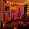 2 Pack LED Flame Light Bulbs - 4 Modes with Upside Down Effect