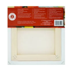 12 Pack: Level 2 Gallery Wrapped Traditional Canvas by Artist's Loft®