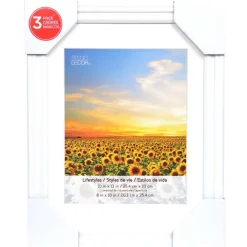 3 Pack Lifestyles 8" x 10" White Frames With Mat by Studio Décor®