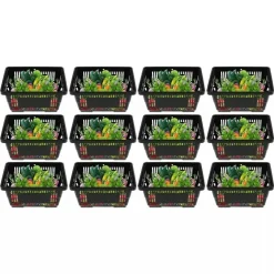 12 Pack 21L Shopping Basket Invisible Handle Design