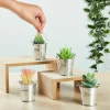 24 Pack Mini Metal Buckets with Handles