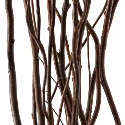 12 Pack: Natural Curly Willow by Ashland®