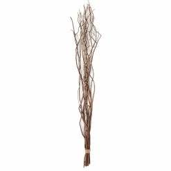 12 Pack: Natural Curly Willow by Ashland®
