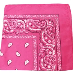 Pack of 48 Daily Basic 100% Polyester 22 x 22 Paisley Printed Bandanas