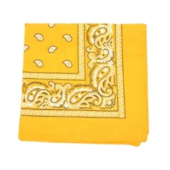Pack of 48 Daily Basic 100% Polyester 22 x 22 Paisley Printed Bandanas