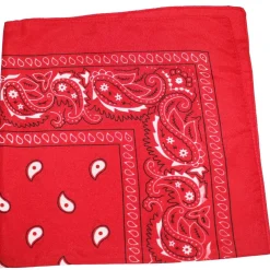 Pack of 48 Daily Basic 100% Polyester 22 x 22 Paisley Printed Bandanas