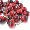 Pack of 20 Decorative Fruit Cherries Fake Fruit Model for Decoration