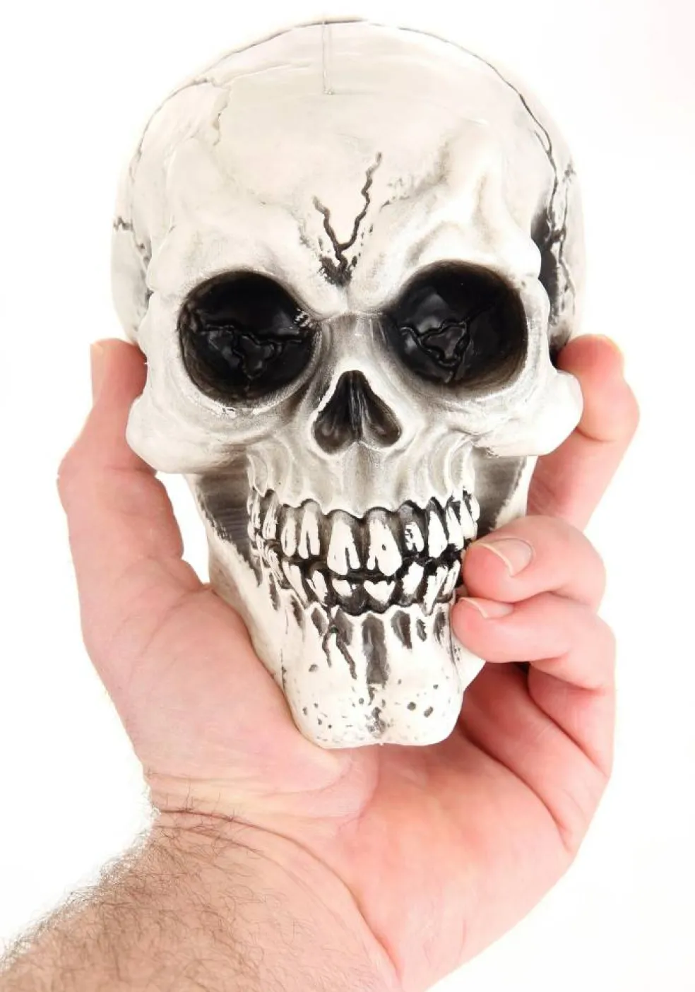 3-Pack of Large Skulls Decoration