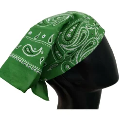 12 Pack: Paisley Bandana by Make Market®