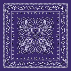 12 Pack: Paisley Bandana by Make Market®