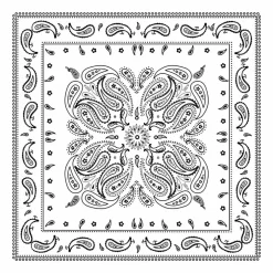 12 Pack: Paisley Bandana by Make Market®
