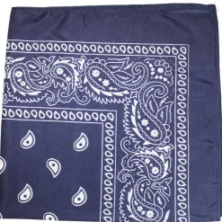 10 Pack Paisley 100% Cotton Double Sided Bandana, 22 inches