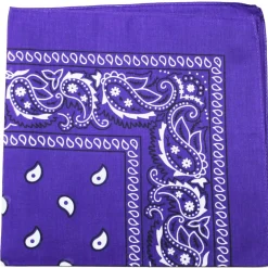 10 Pack Paisley 100% Cotton Double Sided Bandana, 22 inches