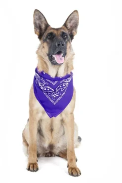 5 Pack Paisley Polyester Pets Dogs Bandana Triangle Shape  - Oversized
