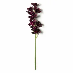 8 Pack: Plum Boat Orchid Spray by Ashland®