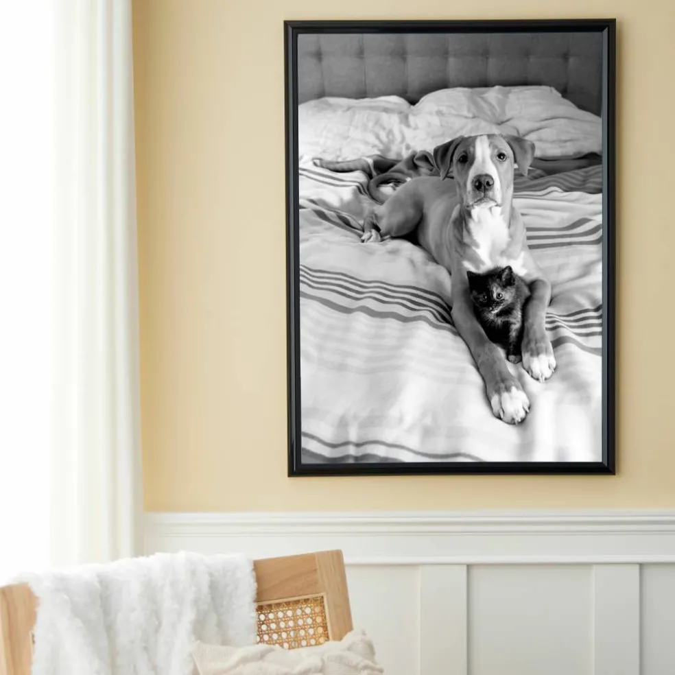 6 Pack: Poster Frame by Studio Décor®
