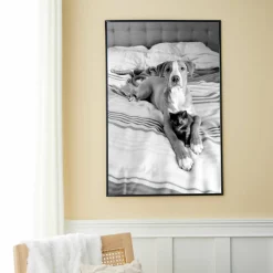 6 Pack: Poster Frame Styleline™ by Studio Décor®