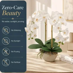 4-Pack: Real Touch White Phalaenopsis Orchid Stem, Floral Home by Artificial Flowers