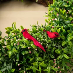 24 Packs: 2 ct. (48 total) Cardinal Birds by Ashland®