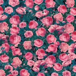 6 Packs: 2 ct. (12 total) Cricut® Infusible Ink™ Transfer Sheet Patterns, Cabbage Rose