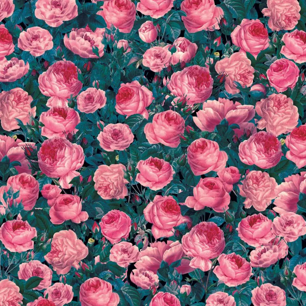 6 Packs: 2 ct. (12 total) Cricut® Infusible Ink™ Transfer Sheet Patterns, Cabbage Rose