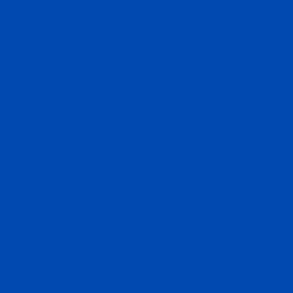 6 Packs: 2 ct. (12 total) Cricut® Infusible Ink™ Transfer Sheets, True Blue