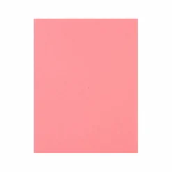 12 Packs: 50 ct. (600 total) Flamingo 8.5" x 11" Cardstock Paper by Recollections™