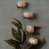 16 Pack: Tan Peony Stem by Ashland®