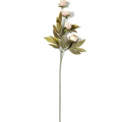 16 Pack: Tan Peony Stem by Ashland®