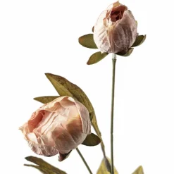16 Pack: Tan Peony Stem by Ashland®