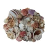 6 Pack: U.S. Shell Garden Bag