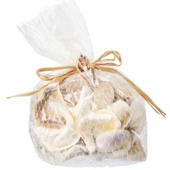 12 Pack: U.S. Shell Light Shell Mix with Starfish Gift Pack