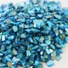 12 Pack: Vunder™ Crushed Turquoise Mother of Pearl Shells