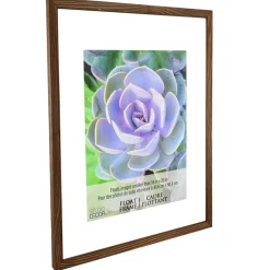 6 Pack: Walnut 16" x 20" Float Frame by Studio Décor®