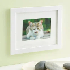 8 Pack: White Frame with Mat, Belmont by Studio Décor®
