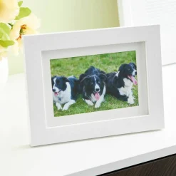 8 Pack: White Frame with Mat, Belmont by Studio Décor®