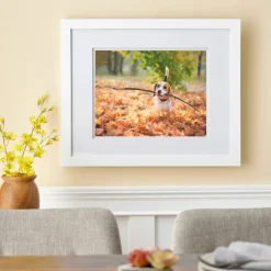 8 Pack: White Gallery Wall Frame with Double Mat Airfloat Gallery™ by Studio Décor®