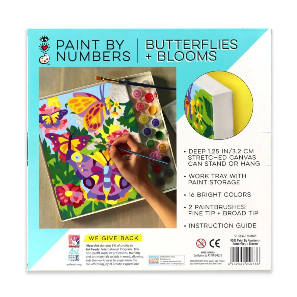 Paint by Numbers Butterflies and Blooms Craft Kit