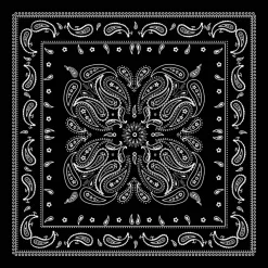 Paisley Bandana by Make Market®